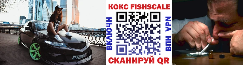 где купить Салаир COCAIN FishScale
