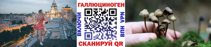 Псилоцибиновые грибы ЛСД купить сайты Салаир
