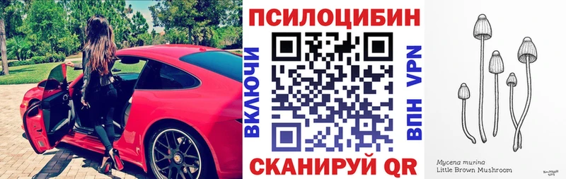 Псилоцибиновые грибы MAGIC MUSHROOMS Салаир
